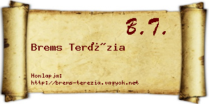 Brems Terézia névjegykártya